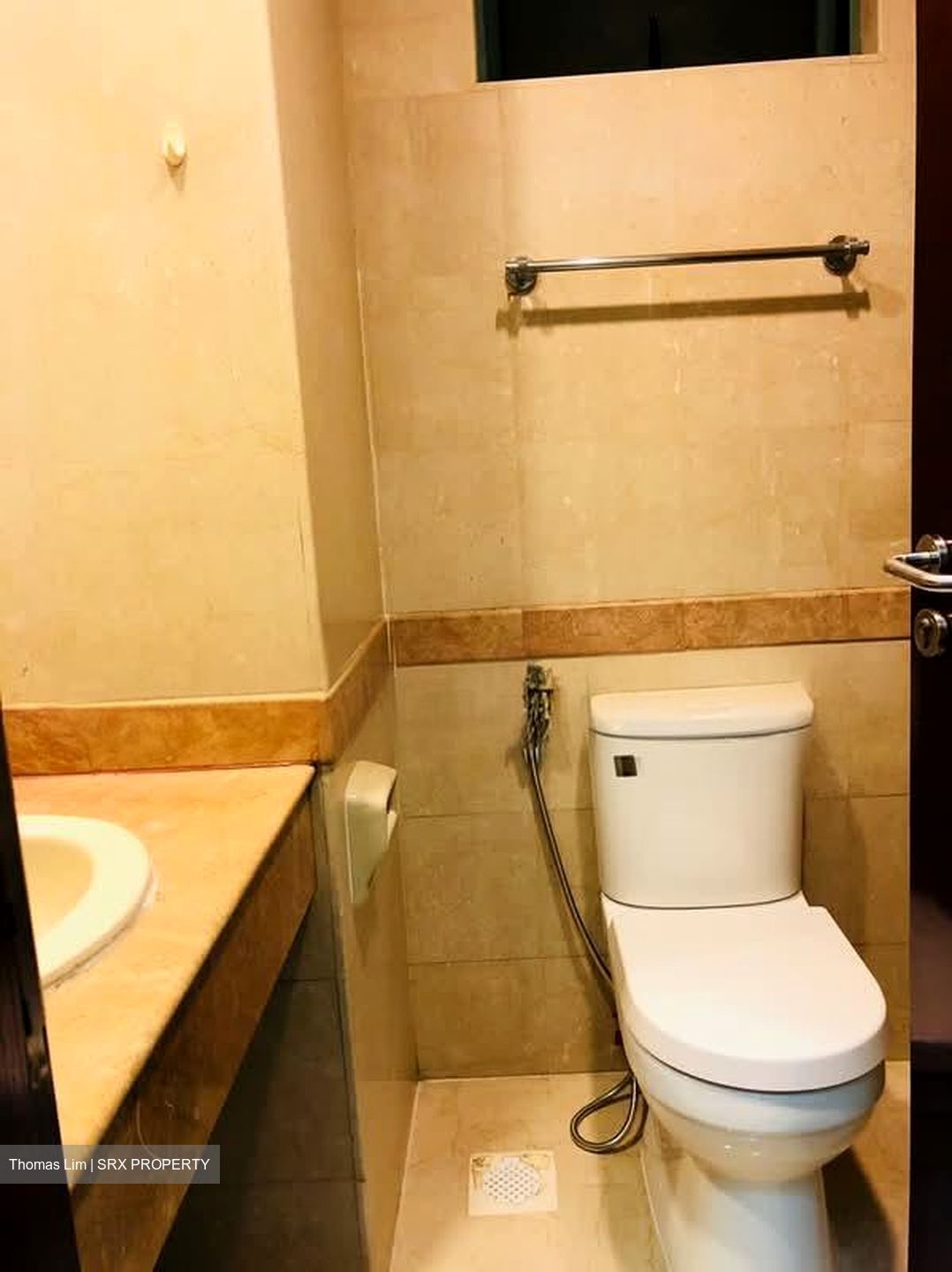 Tanglin Regency (D10), Condominium #591989171